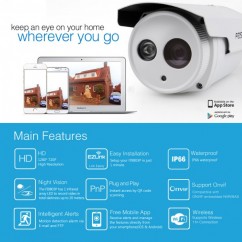 Cámara IP de exterior FI9803P WIFI 1.0 Megapixel