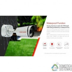 Cámaras IP Foscam FI9800P Exterior 720p
