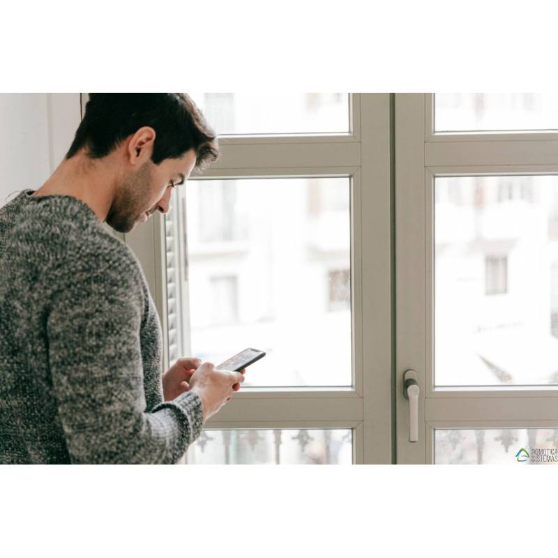 Seguridad Domótica Esencial
