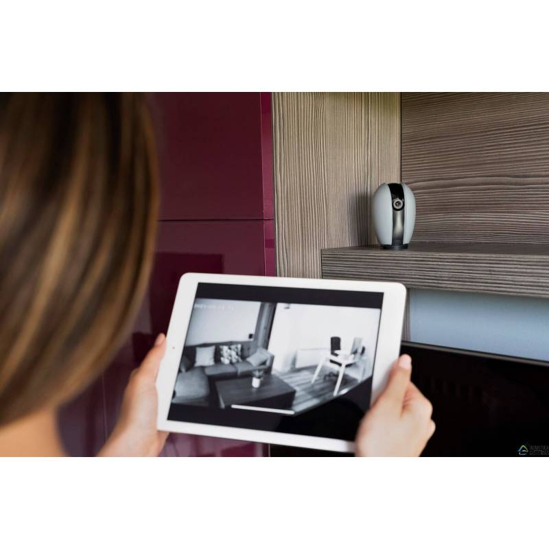 Seguridad Domótica Esencial