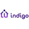 Indigo Domotics